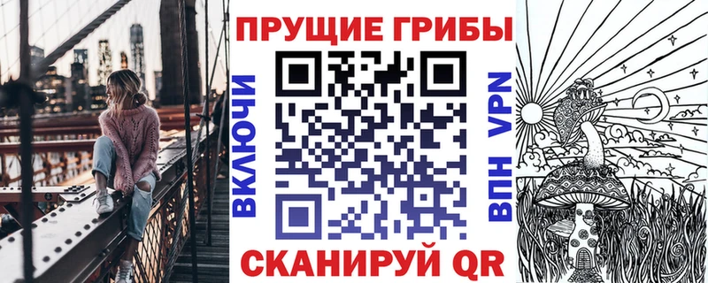 KRAKEN ссылка  Шлиссельбург  Псилоцибиновые грибы прущие грибы 